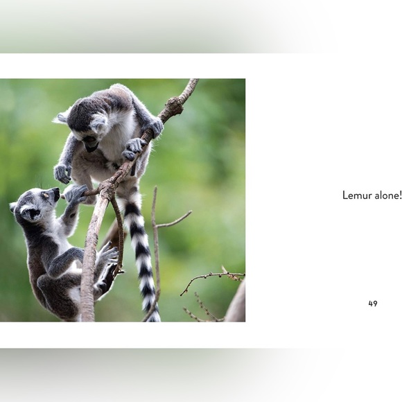 Animal Puns: Quack Me Up Book - Picture 4 of 7